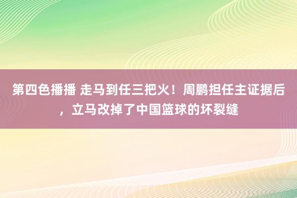 第四色播播 走马到任三把火！周鹏担任主证据后，立马改掉了中国篮球的坏裂缝