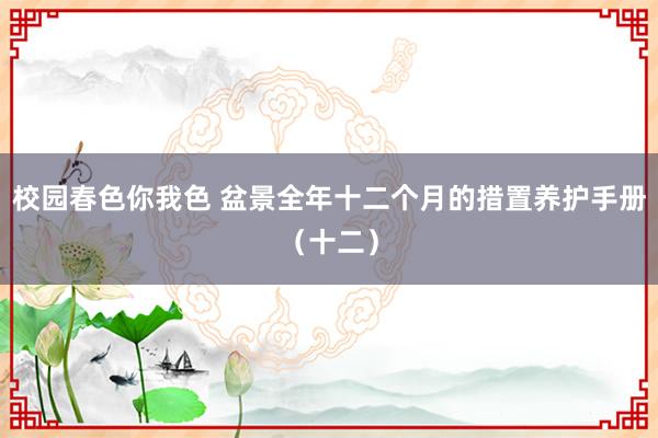 校园春色你我色 盆景全年十二个月的措置养护手册（十二）