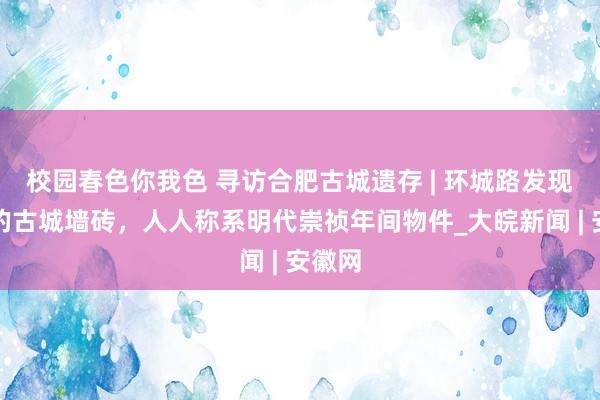 校园春色你我色 寻访合肥古城遗存 | 环城路发现刻字的古城墙砖，人人称系明代崇祯年间物件_大皖新闻 | 安徽网