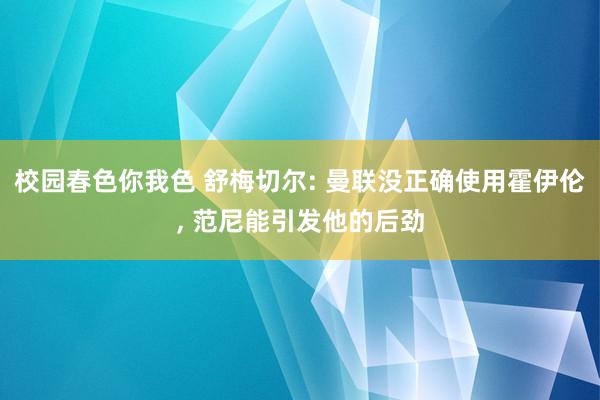 校园春色你我色 舒梅切尔: 曼联没正确使用霍伊伦， 范尼能引发他的后劲