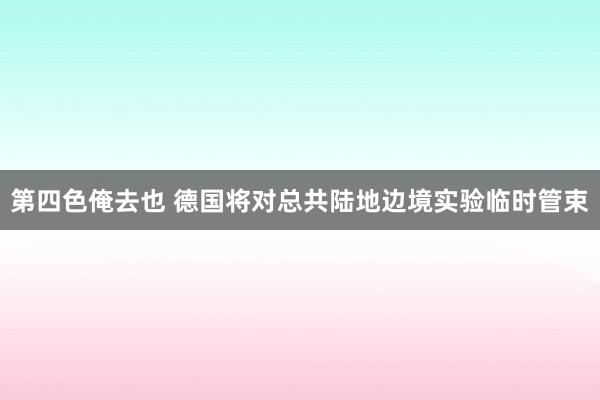 第四色俺去也 德国将对总共陆地边境实验临时管束