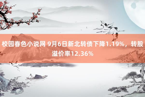 校园春色小说网 9月6日新北转债下降1.19%，转股溢价率12.36%