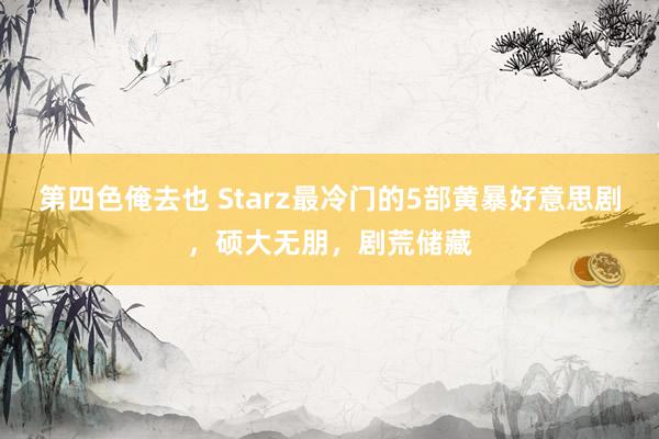 第四色俺去也 Starz最冷门的5部黄暴好意思剧，硕大无朋，剧荒储藏