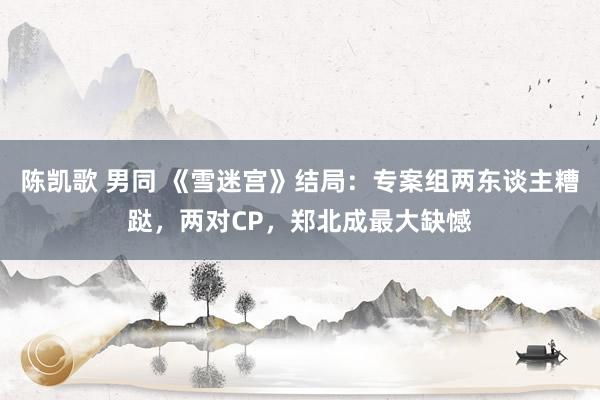 陈凯歌 男同 《雪迷宫》结局：专案组两东谈主糟跶，两对CP，郑北成最大缺憾