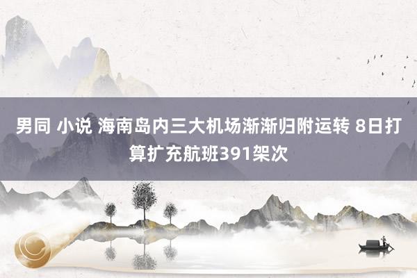 男同 小说 海南岛内三大机场渐渐归附运转 8日打算扩充航班391架次