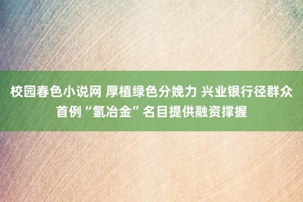 校园春色小说网 厚植绿色分娩力 兴业银行径群众首例“氢冶金”名目提供融资撑握