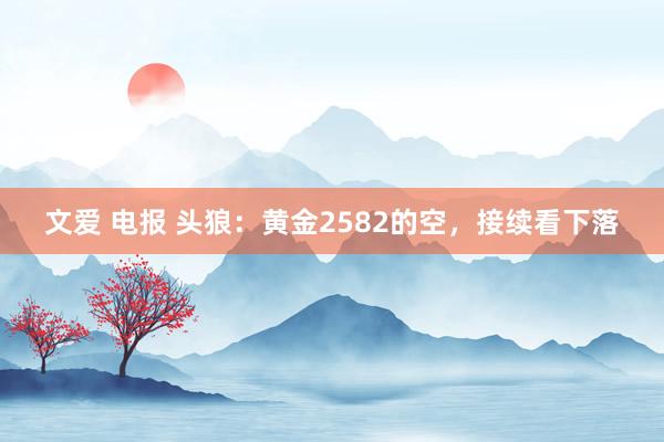 文爱 电报 头狼：黄金2582的空，接续看下落