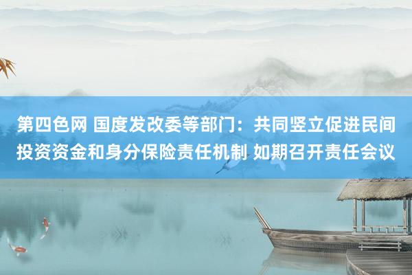 第四色网 国度发改委等部门：共同竖立促进民间投资资金和身分保险责任机制 如期召开责任会议