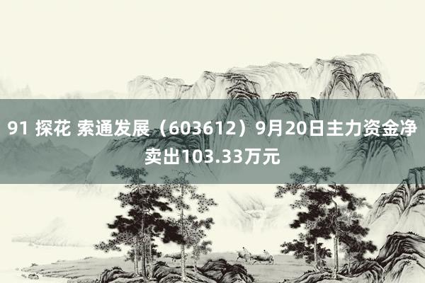 91 探花 索通发展（603612）9月20日主力资金净卖出103.33万元