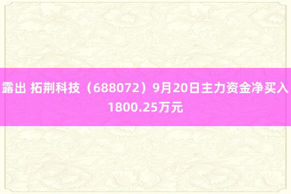 露出 拓荆科技（688072）9月20日主力资金净买入1800.25万元