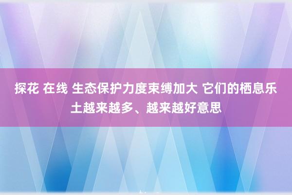 探花 在线 生态保护力度束缚加大 它们的栖息乐土越来越多、越来越好意思