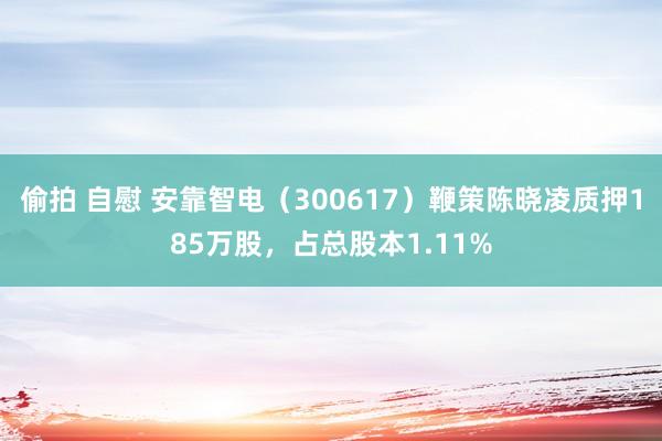 偷拍 自慰 安靠智电（300617）鞭策陈晓凌质押185万股，占总股本1.11%