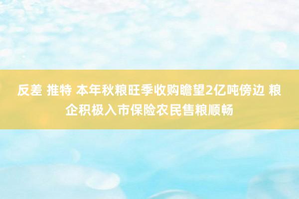 反差 推特 本年秋粮旺季收购瞻望2亿吨傍边 粮企积极入市保险农民售粮顺畅