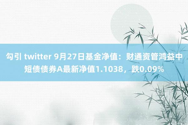 勾引 twitter 9月27日基金净值：财通资管鸿益中短债债券A最新净值1.1038，跌0.09%