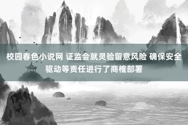 校园春色小说网 证监会就灵验留意风险 确保安全驱动等责任进行了商榷部署