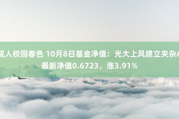 成人校园春色 10月8日基金净值：光大上风建立夹杂A最新净值0.6723，涨3.91%