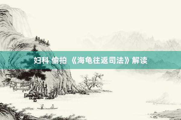 妇科 偷拍 《海龟往返司法》解读