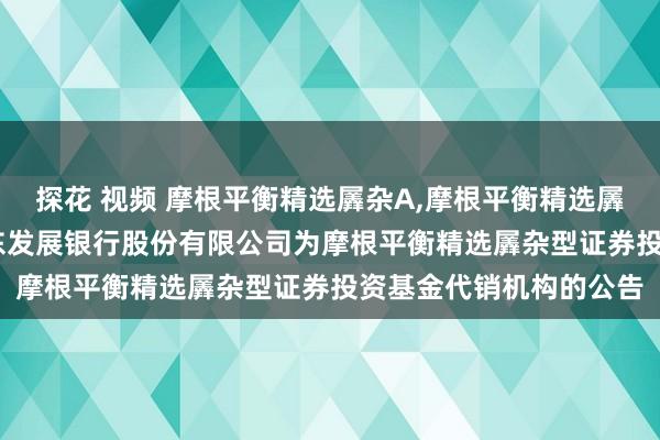 探花 视频 摩根平衡精选羼杂A，摩根平衡精选羼杂C: 对于新增上海浦东发展银行股份有限公司为摩根平衡精选羼杂型证券投资基金代销机构的公告