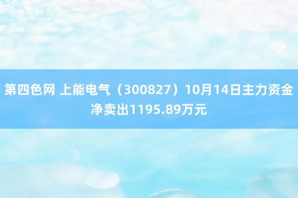 第四色网 上能电气（300827）10月14日主力资金净卖出1195.89万元