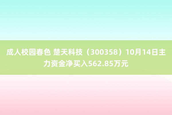 成人校园春色 楚天科技（300358）10月14日主力资金净买入562.85万元