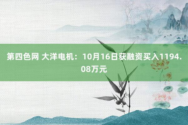 第四色网 大洋电机：10月16日获融资买入1194.08万元