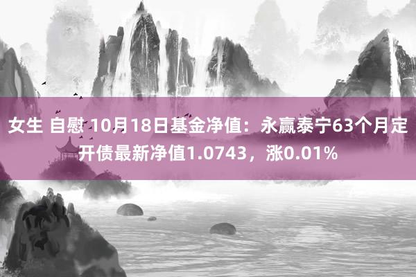 女生 自慰 10月18日基金净值：永赢泰宁63个月定开债最新净值1.0743，涨0.01%