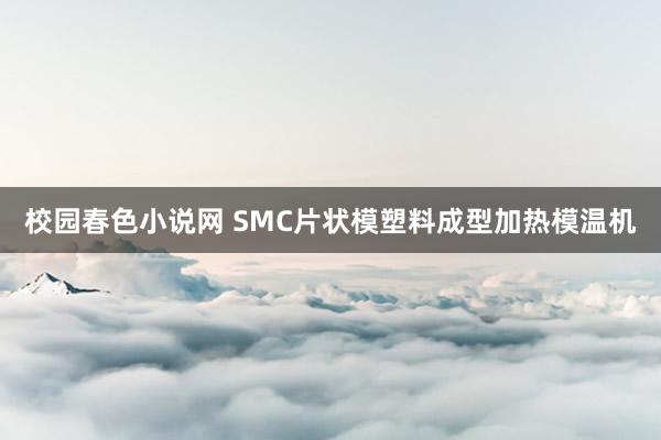 校园春色小说网 SMC片状模塑料成型加热模温机