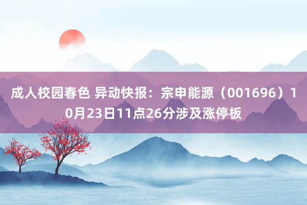 成人校园春色 异动快报：宗申能源（001696）10月23日11点26分涉及涨停板