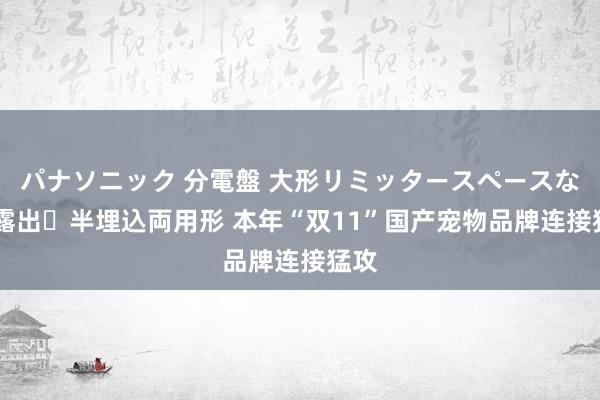 パナソニック 分電盤 大形リミッタースペースなし 露出・半埋込両用形 本年“双11”国产宠物品牌连接猛攻