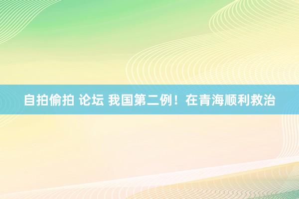 自拍偷拍 论坛 我国第二例！在青海顺利救治