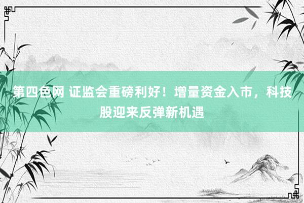 第四色网 证监会重磅利好！增量资金入市，科技股迎来反弹新机遇