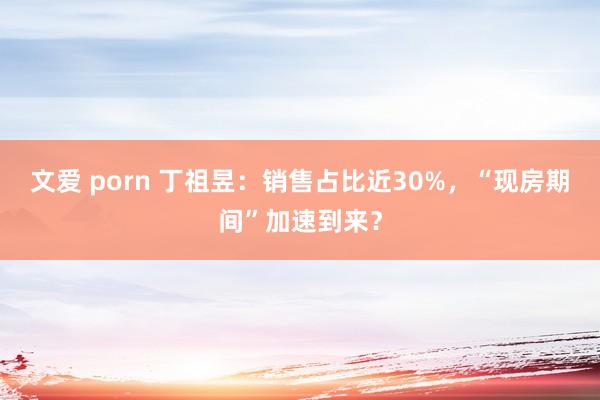 文爱 porn 丁祖昱：销售占比近30%，“现房期间”加速到来？