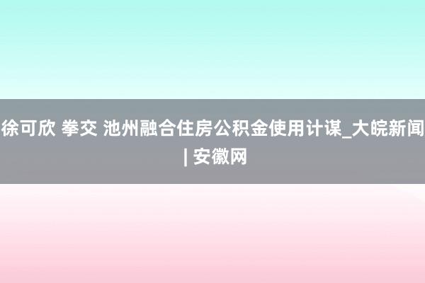 徐可欣 拳交 池州融合住房公积金使用计谋_大皖新闻 | 安徽网