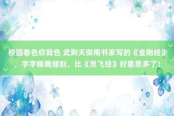 校园春色你我色 武则天御用书家写的《金刚经》，字字精雕细刻，比《灵飞经》好意思多了！