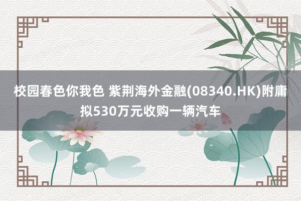 校园春色你我色 紫荆海外金融(08340.HK)附庸拟530万元收购一辆汽车