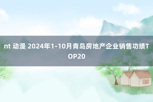 nt 动漫 2024年1-10月青岛房地产企业销售功绩TOP20