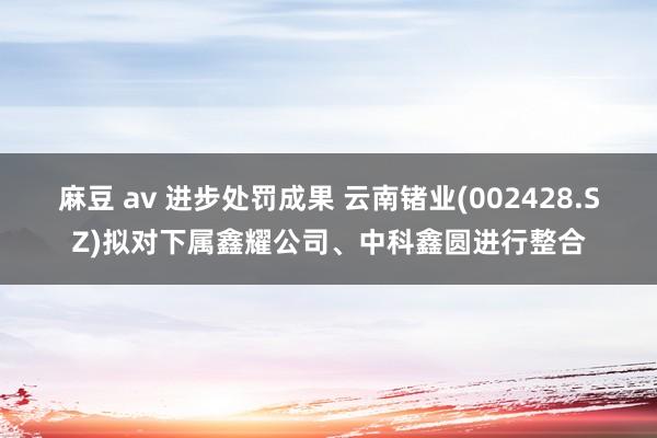 麻豆 av 进步处罚成果 云南锗业(002428.SZ)拟对下属鑫耀公司、中科鑫圆进行整合