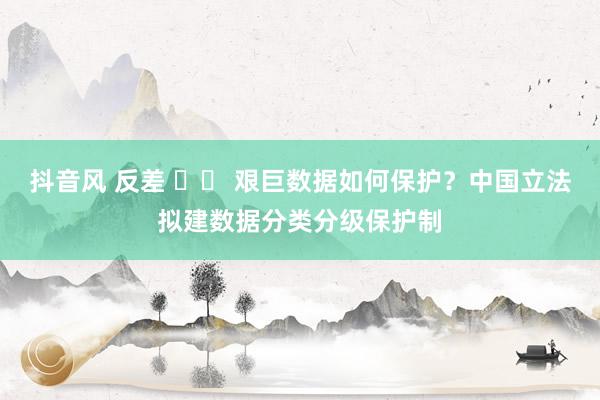 抖音风 反差 		 艰巨数据如何保护？中国立法拟建数据分类分级保护制