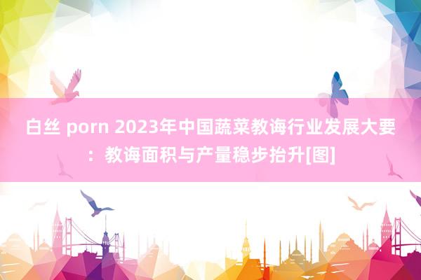 白丝 porn 2023年中国蔬菜教诲行业发展大要：教诲面积与产量稳步抬升[图]