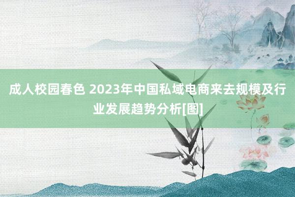 成人校园春色 2023年中国私域电商来去规模及行业发展趋势分析[图]