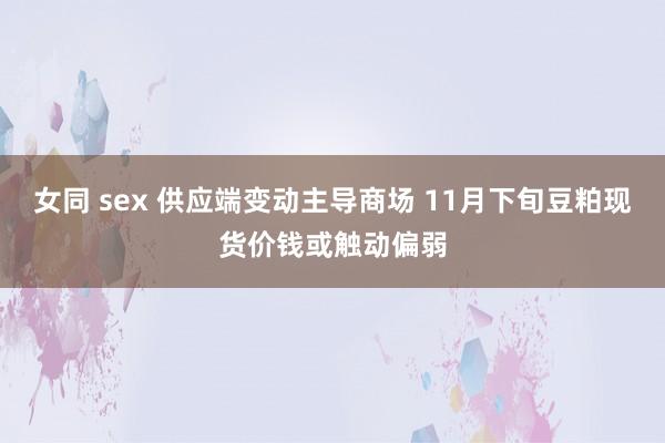 女同 sex 供应端变动主导商场 11月下旬豆粕现货价钱或触动偏弱