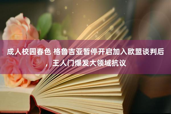 成人校园春色 格鲁吉亚暂停开启加入欧盟谈判后，王人门爆发大领域抗议