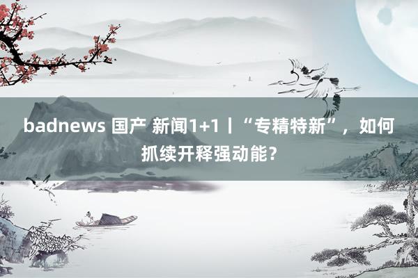 badnews 国产 新闻1+1丨“专精特新”，如何抓续开释强动能？