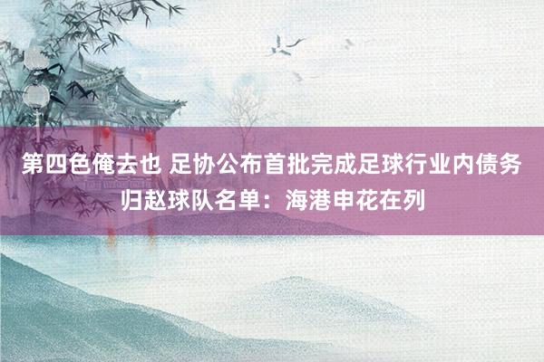 第四色俺去也 足协公布首批完成足球行业内债务归赵球队名单：海港申花在列