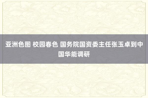 亚洲色图 校园春色 国务院国资委主任张玉卓到中国华能调研