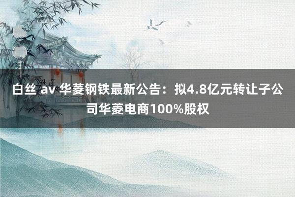 白丝 av 华菱钢铁最新公告：拟4.8亿元转让子公司华菱电商100%股权