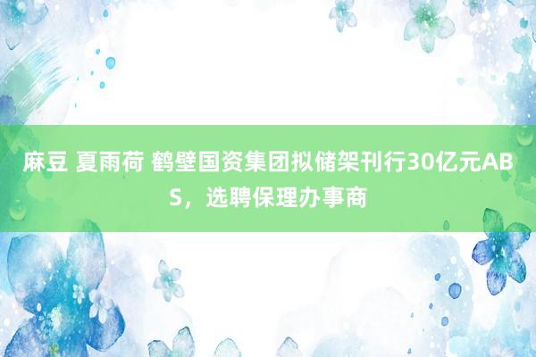 麻豆 夏雨荷 鹤壁国资集团拟储架刊行30亿元ABS，选聘保理办事商