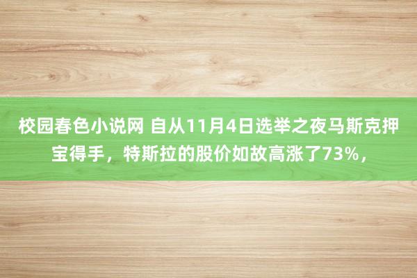 校园春色小说网 自从11月4日选举之夜马斯克押宝得手，特斯拉的股价如故高涨了73%，