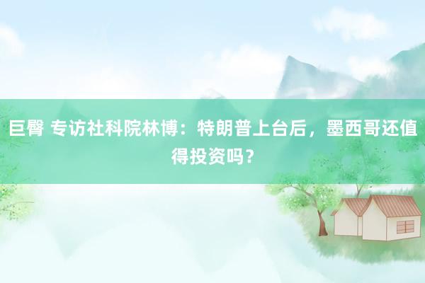 巨臀 专访社科院林博：特朗普上台后，墨西哥还值得投资吗？