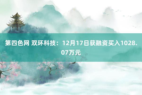 第四色网 双环科技：12月17日获融资买入1028.07万元